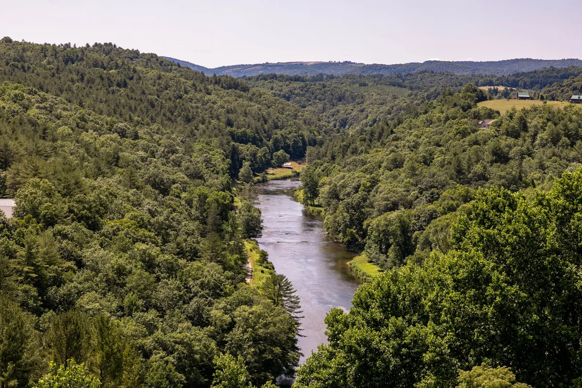 A peaceful river winds through lush, dense foliage, framed by surrounding hills. The tranquil scene is ideal for nature walks, bird watching, and enjoying the serenity of the mountains with your canine companion.